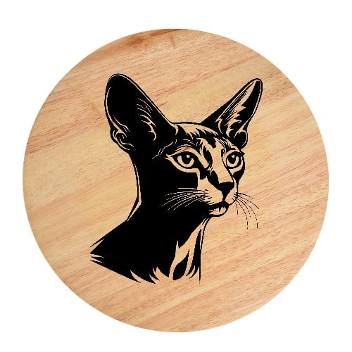 Tablou gravat pe lemn, pisica rasa  'Abyssinian 2'