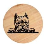 Tablou gravat pe lemn, caine rasa 'AMERICAN BULLY-POCKET'