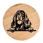 Tablou gravat pe lemn, caine rasa 'AMERICAN WATER SPANIEL'