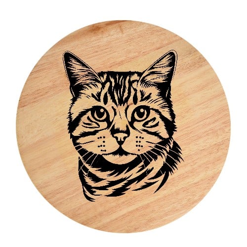 Tablou gravat pe lemn, pisica rasa  'American Wirehair 1'