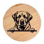 Tablou gravat pe lemn, caine rasa 'ANATOLIAN SHEPHERD'
