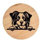 Tablou gravat pe lemn, caine rasa 'AUSTRALIAN SHEPHERD'