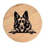 Tablou gravat pe lemn, caine rasa 'BELGIAN TERVUREN'