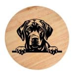 Tablou gravat pe lemn, caine rasa 'BLACK LABRADOR RETRIVER'