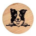 Tablou gravat pe lemn, caine rasa 'BORDER COLLIE'