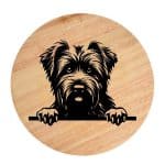 Tablou gravat pe lemn, caine rasa 'BOUVIER DES FLANDRES'