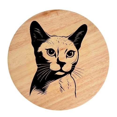 Tablou gravat pe lemn, pisica rasa  'Burmilla 1'