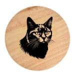 Tablou gravat pe lemn, pisica rasa  'Chartreux 1'