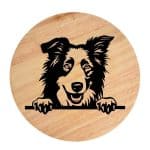 Tablou gravat pe lemn, caine rasa 'COLLIE'