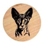 Tablou gravat pe lemn, pisica rasa  'Cornish Rex 1'
