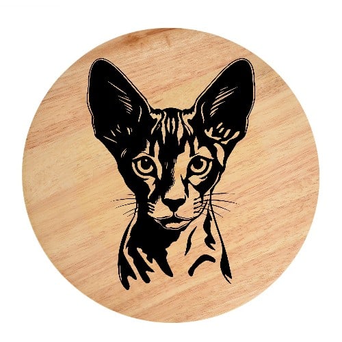 Tablou gravat pe lemn, pisica rasa  'Cornish Rex 1'