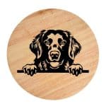 Tablou gravat pe lemn, caine rasa 'FLAT COATED RETRIEVER'