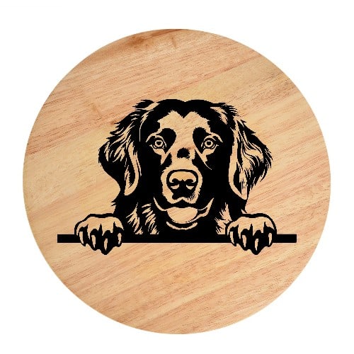 Tablou gravat pe lemn, caine rasa 'FLAT COATED RETRIEVER'