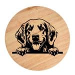 Tablou gravat pe lemn, caine rasa 'GOLDEN RETRIVER'
