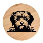 Tablou gravat pe lemn, caine rasa 'HAVANESE'