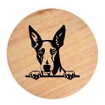 Tablou gravat pe lemn, caine rasa 'IBIZAN HOUND'