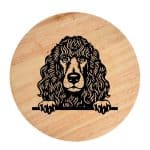 Tablou gravat pe lemn, caine rasa 'IRISH WATER SPANIEL'
