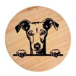 Tablou gravat pe lemn, caine rasa 'ITALIAN GREYHOUND'