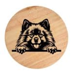 Tablou gravat pe lemn, caine rasa 'KEESHOND'
