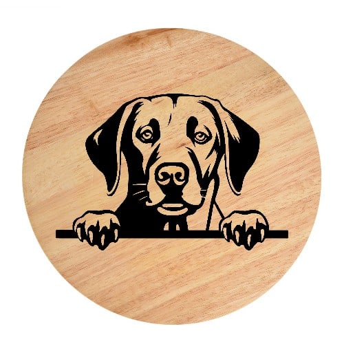 Tablou gravat pe lemn, caine rasa 'LABRADOR RETRIEVER'