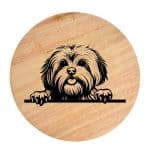 Tablou gravat pe lemn, caine rasa 'LHASA APSO'