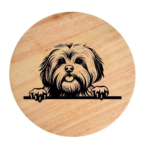 Tablou gravat pe lemn, caine rasa 'LHASA APSO'