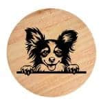 Tablou gravat pe lemn, caine rasa 'LONG HAIRED CHIHUAHUA'