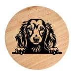 Tablou gravat pe lemn, caine rasa 'LONG HAIRED DACHSHUND'