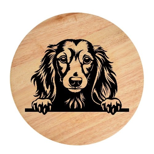 Tablou gravat pe lemn, caine rasa 'LONG HAIRED DACHSHUND'