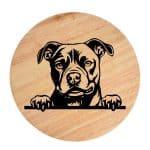 Tablou gravat pe lemn, caine rasa 'MATURE AMERICAN STAFFORDSHIRE TERRIER'