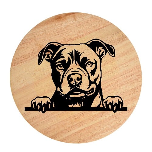 Tablou gravat pe lemn, caine rasa 'MATURE AMERICAN STAFFORDSHIRE TERRIER'