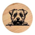 Tablou gravat pe lemn, caine rasa 'NORFOLK TERRIER'