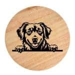 Tablou gravat pe lemn, caine rasa 'NOVA SCOTIA DUCK TOLLING RETRIEVER'
