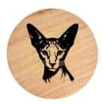 Tablou gravat pe lemn, pisica rasa  'Oriental Shorthair 1'