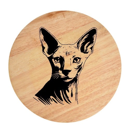 Tablou gravat pe lemn, pisica rasa  'Peterbald 1'