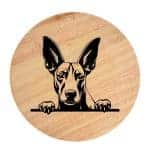 Tablou gravat pe lemn, caine rasa 'PHARAOH HOUND'