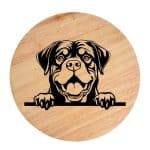 Tablou gravat pe lemn, caine rasa 'ROTTWEILER'