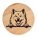 Tablou gravat pe lemn, caine rasa 'SAMOYED'