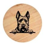 Tablou gravat pe lemn, caine rasa 'SCOTTISH TERRIER'