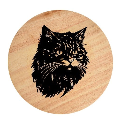 Tablou gravat pe lemn, pisica rasa  'Selkirk Rex 2'