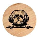 Tablou gravat pe lemn, caine rasa 'SHIH TZU'
