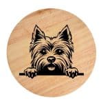 Tablou gravat pe lemn, caine rasa 'SILKY TERRIER'