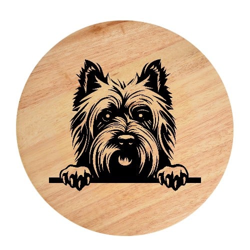 Tablou gravat pe lemn, caine rasa 'SKYE TERRIER'