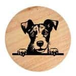 Tablou gravat pe lemn, caine rasa 'SMOOTH FOX TERRIER'