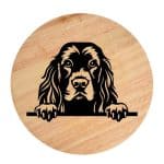 Tablou gravat pe lemn, caine rasa 'SUSSEX SPANIEL'