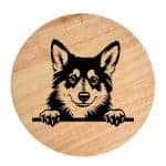 Tablou gravat pe lemn, caine rasa 'SWEDISH VALLHUND'