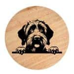 Tablou gravat pe lemn, caine rasa 'WIREHAIRED POINTING GRIFFON'