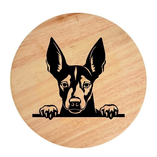 Tablou gravat pe lemn, caine rasa 'XOLOITZCUINTLI'
